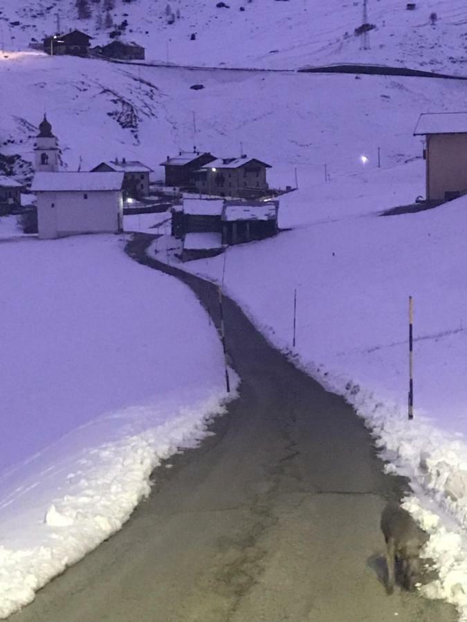 Baita Mattia Livigno Extérieur photo